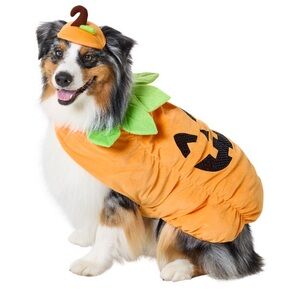 Cute Orange Pumpkin Pet Costume Size XL NEW!